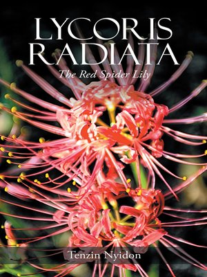 cover image of Lycoris Radiata